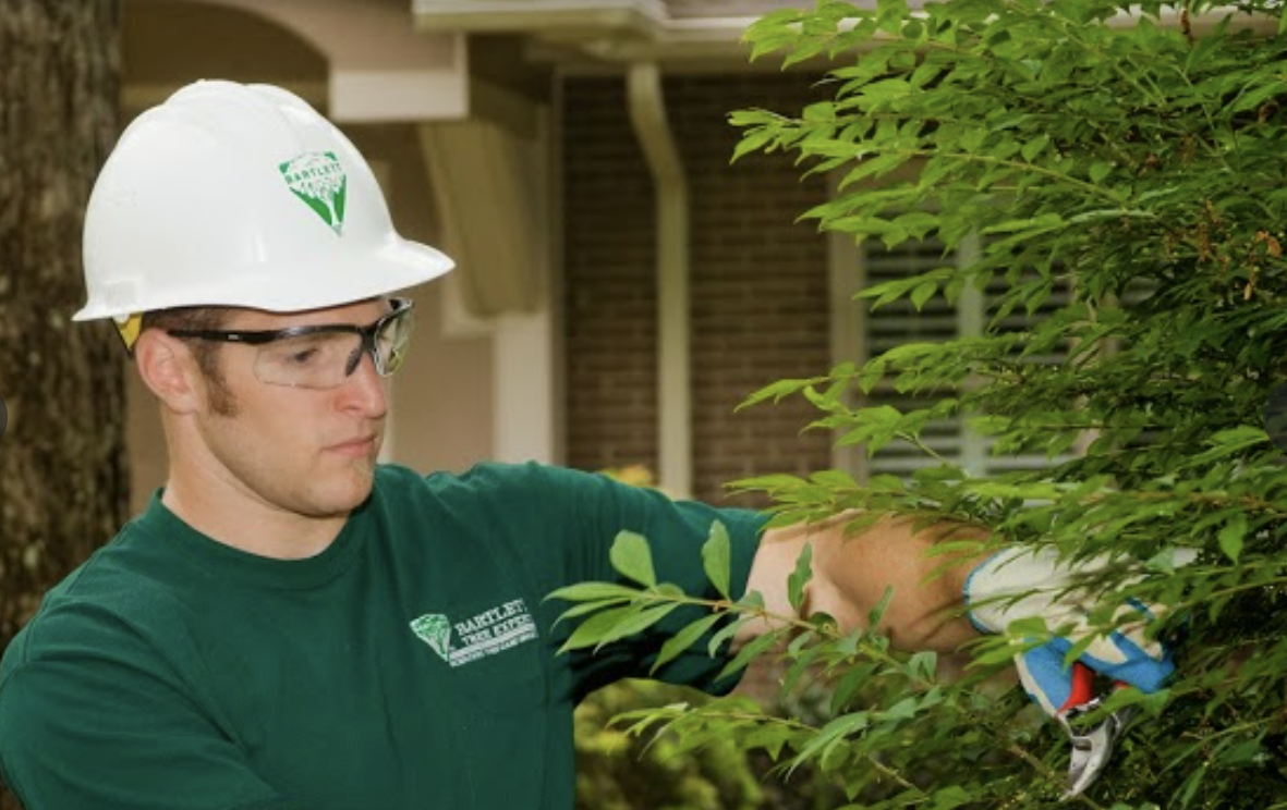 Expansion of Bartlett Tree Experts
